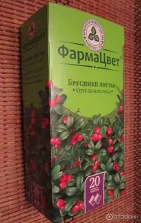 Брусничный лист при цистите