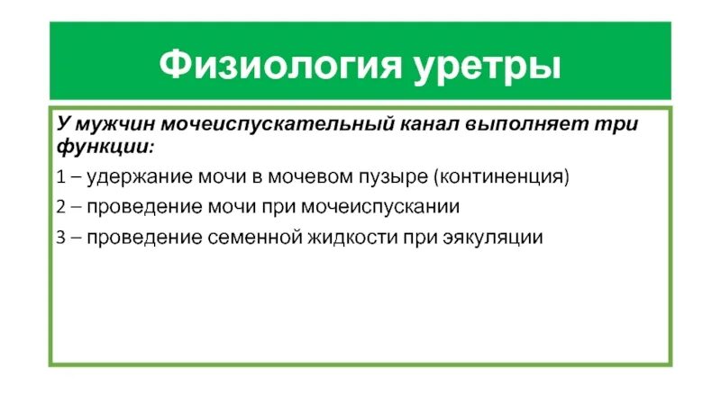 Сужение мочеиспускательного канала. Мочеиспускательный канал функции. Функции мочеиспускательного канала человека. Мочеиспускательный канал строение и функции. Мочеиспускательный канал канал функции.