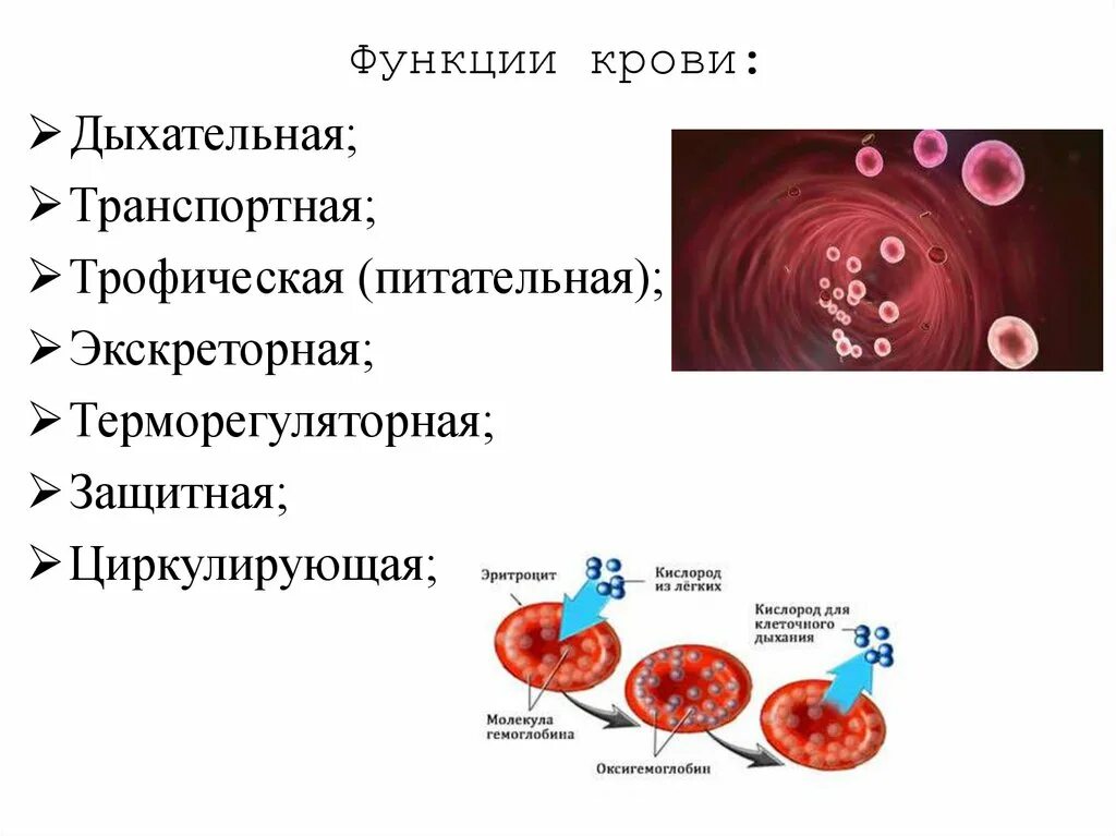 Кровь питательная,транспортная,дыхательная функция. Экскреторная функция крови. Защитная функция крови заключается в. Транспортная дыхательная функция крови.