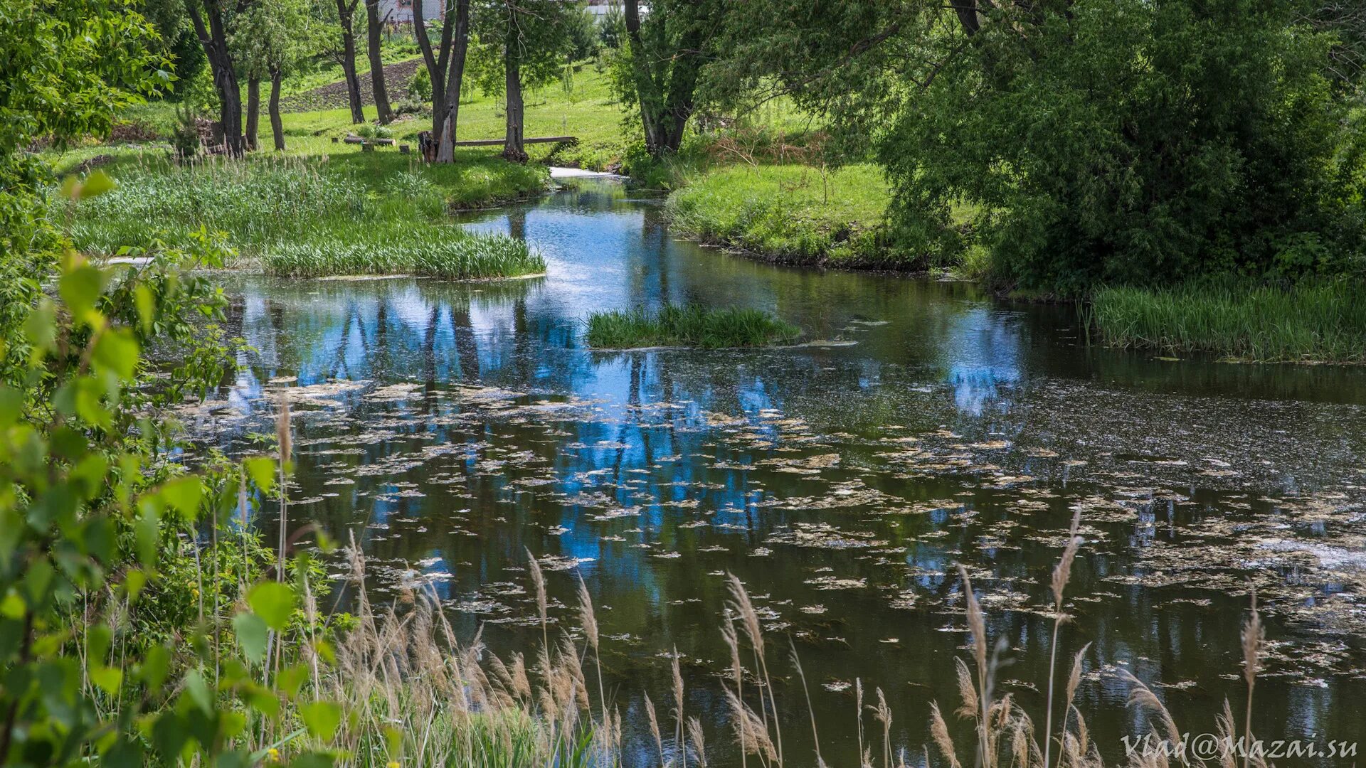 Р проне