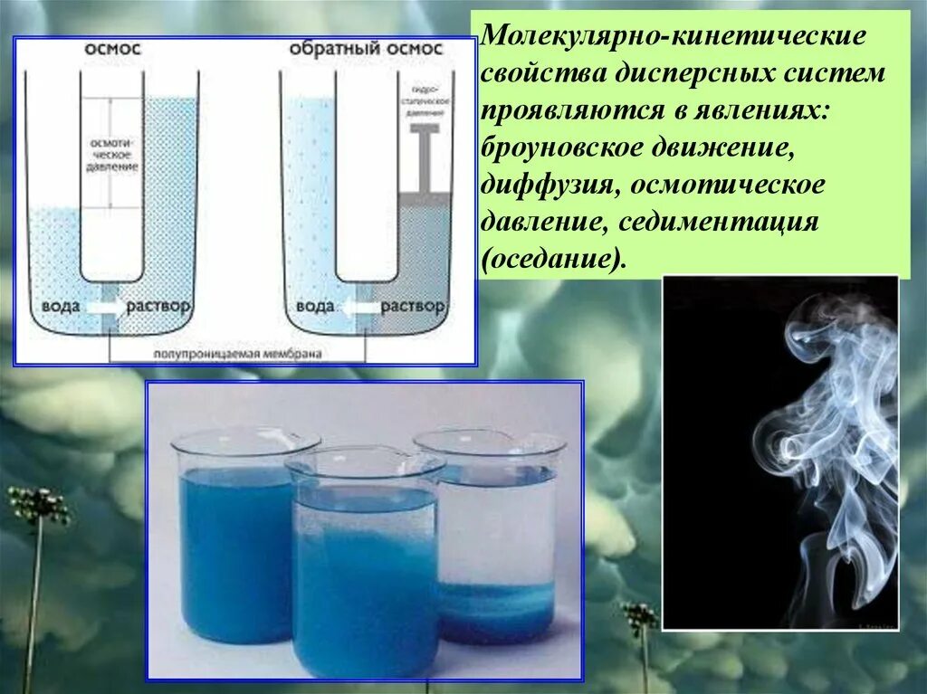 Диффузия в коллоидных растворах. Диффузия в дисперсных системах. диффузия в коллоидных системах. седиментация в дисперсных системах. молекулярно кинетические явления в коллоидных системах.