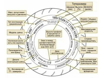 Определить модель шины