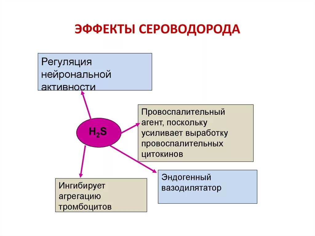 Защита от сероводорода. Сероводород защита. Защита производства сероводорода. Циклическая презентация. Сероводород вазодилятатор.