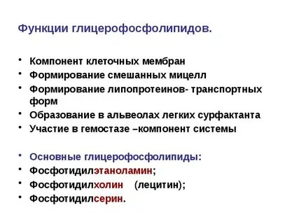 Роль фосфолипидов в организме