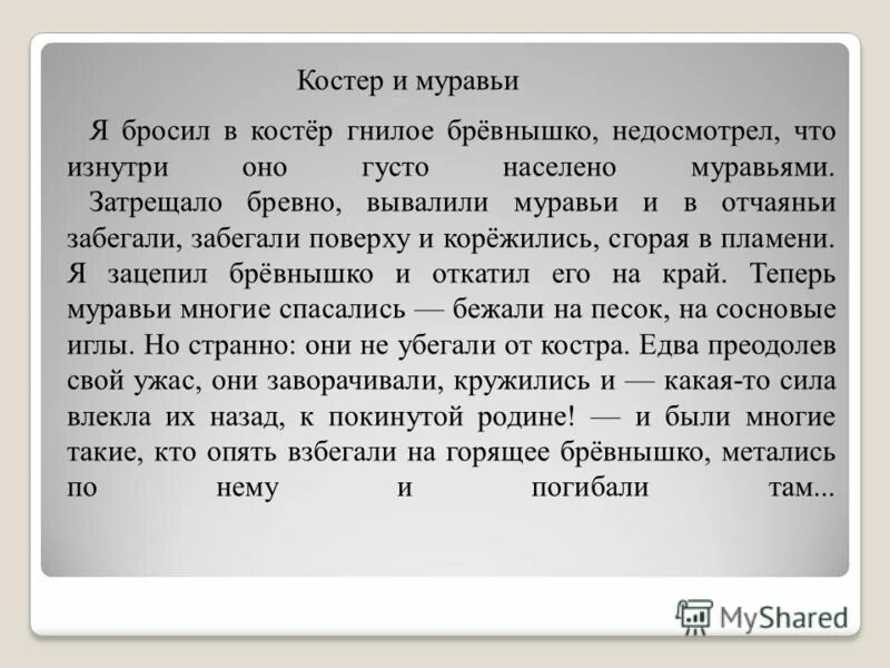 Как определить авторскую позицию. Костёр и муравьи. Костер и муравьи сочинение. Ошибка это определение для сочинения. Я бросил в костер гнилое бревнышко недосмотрел.