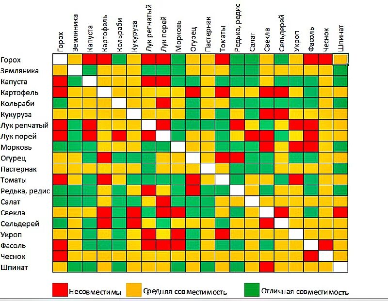 Совместные посадки овощей на грядке. Таблица совместимости на грядке овощных культур. Совместимость посева овощных культур. Таблица совместимости цветов на огороде соседство. Таблица совместимости растений на огороде соседство овощей.