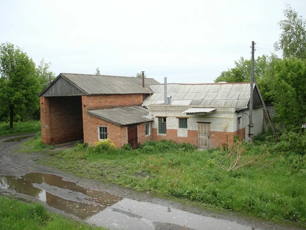 кутуково спасского района рязанской области. спасск рязанский сколькотбездомныэ собак. погода в кутуково спасского рязанской обл. кутуково спасского района рязанской. кутуково спасского района рязанской области.