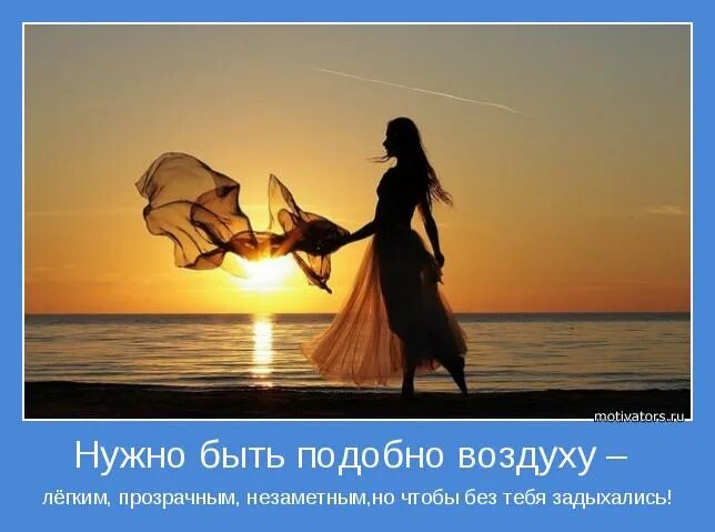 У женщин и котов общее правило если чего-то. Любимые уходят незаметно. Нужно было незаметно. Хорошие люди похожи на воздух. Проживи незаметно.