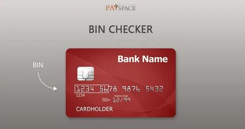 Bin checker