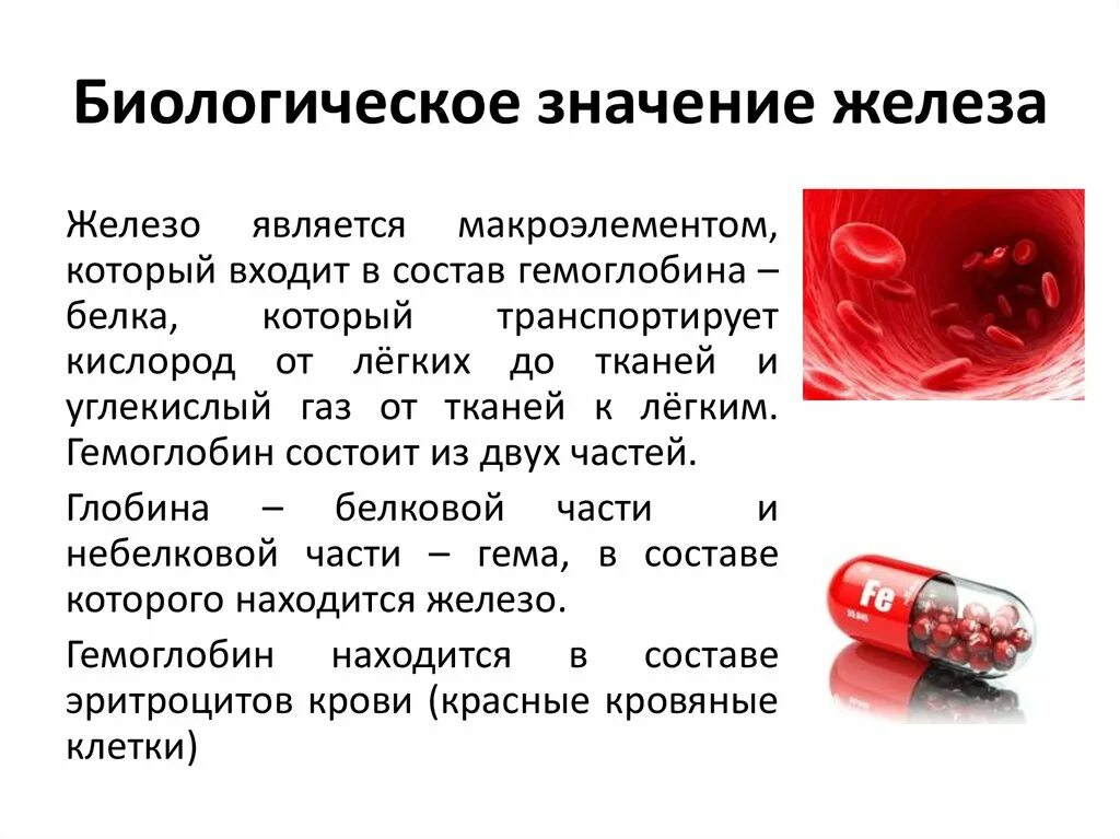 Железо входит в группу. Железо биологическое значение. Биологическая роль железа в организме. Роль железа в природе. Биологическая роль железа химия.