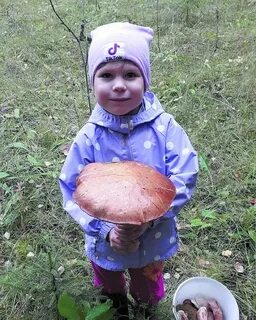 1 большой гриб