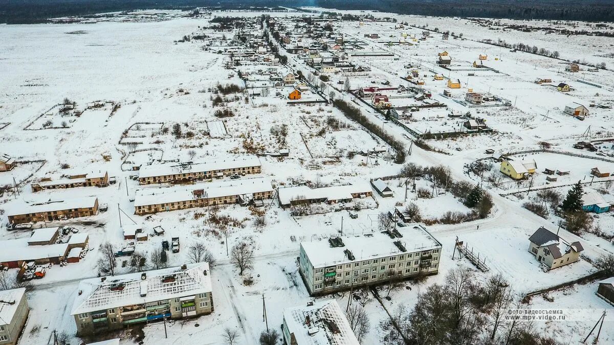 Деревня ермолино. Деревня ермолино тюменская область. Деревня ермолино великий новгород. Ермолино великий новгород. Ермолино новгородской.