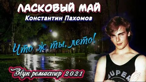 Старый лес ласковый