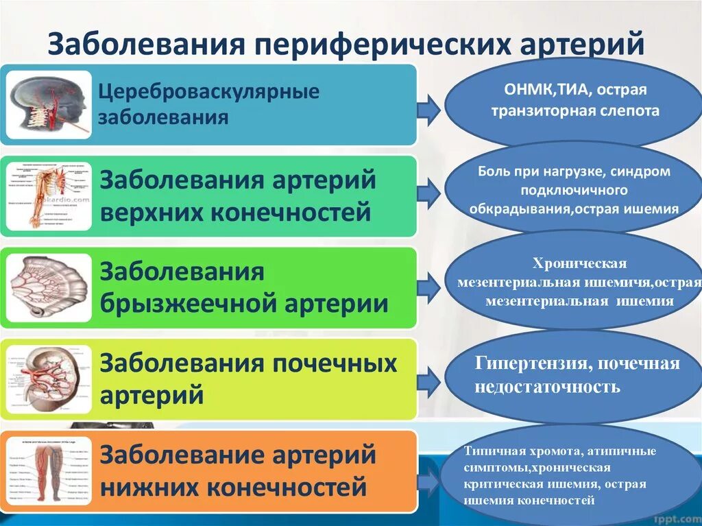 Заболевания периферических артерий. Поражение периферических артерий. Заболевания периферических артерий классификация. Заболевания периферических вен конечностей. Заболевания артерий вен