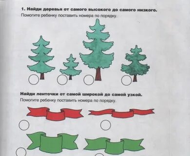 Конспект по величине в подготовительной группе