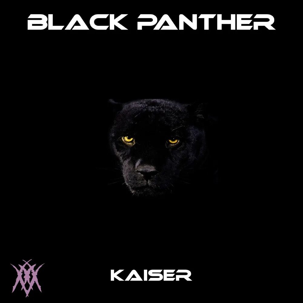 Пантера саундтрек. Группа черные пантеры. Черная пантера песня. Надпись пантера. Песня для пантеры.