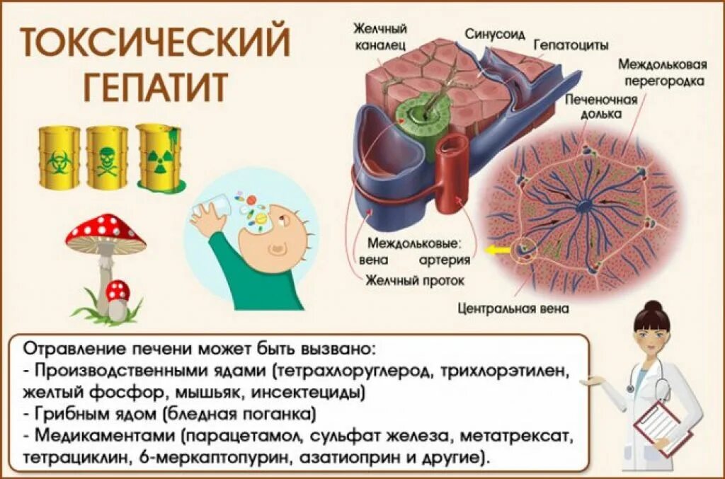 Интоксикация печени лекарствами. Токсический гепатит печени. токсический гепатит симптомы. токсический гепатит печени симптомы.