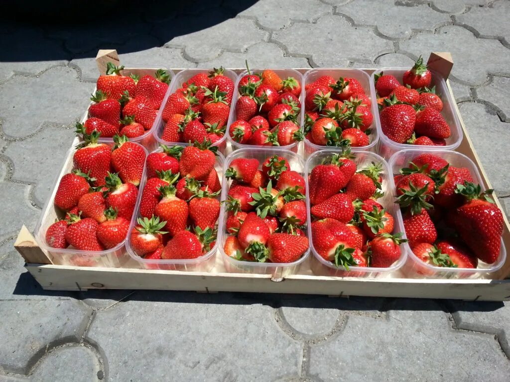 Лавка с клубникой. Продать клубнику. Клубника extra berry. Клубника в магазине. Клубника фермерская.