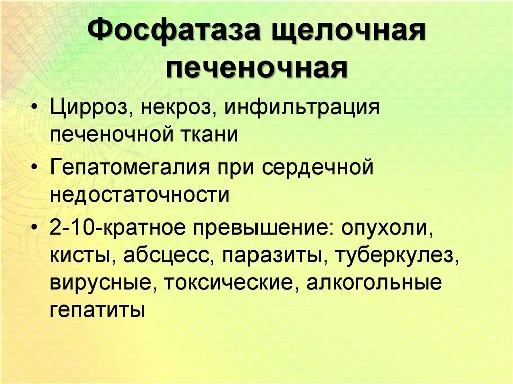 Щелочная фосфатаза. Щелочная фосфатаза фермент. Щелочная фосфатаза (ЩФ). Щелочная фосфатаза фермент печени. Фосфатаза печени