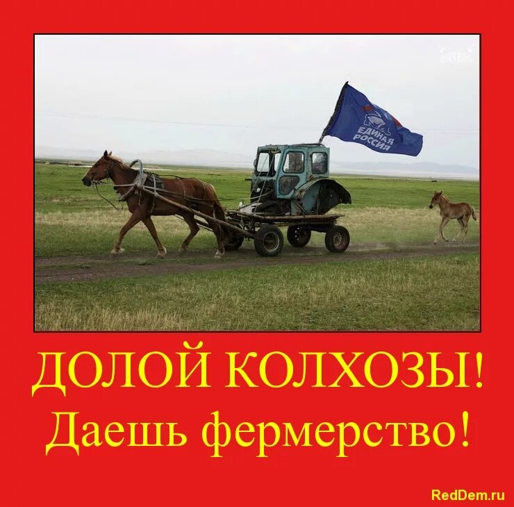Колхоз приколы. В одну повозку впрячь неможно коня и трепетную лань. трактор тащит корова. шутки про колхоз и сено. вывеска на тракторе колхоз прикол.