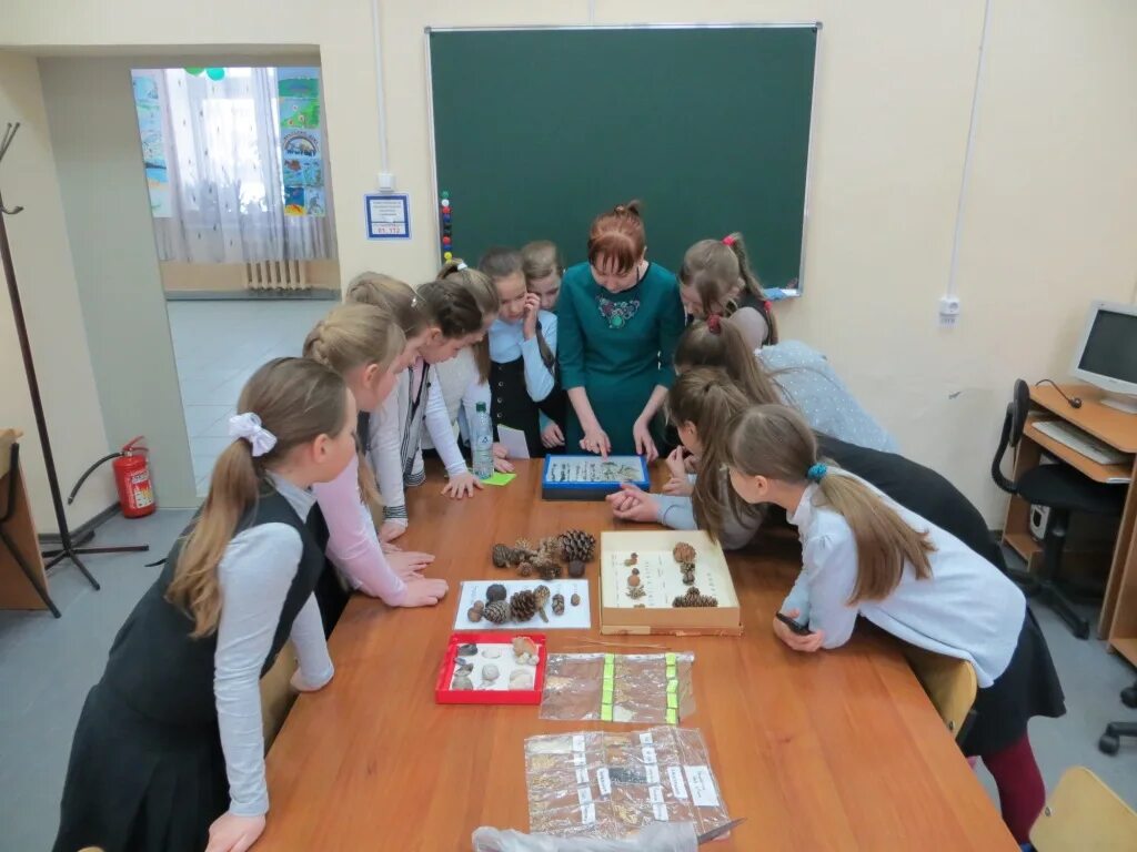 Лицей 28 учителя. 28 лицей таганрог учителя. Лицей 28 учителя. Школа 33 курск учителя. Лицей 28 учителя.