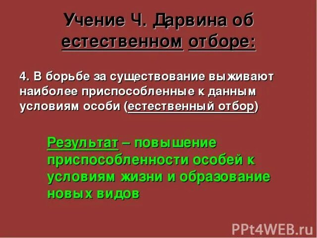 Учение ч Дарвина о естественном отборе. Борьба за существование Дарвин. Борьба за существование по Дарвину. Дарвин естественный отбор борьба за существование. Эволюционное учение дарвина борьба за существование