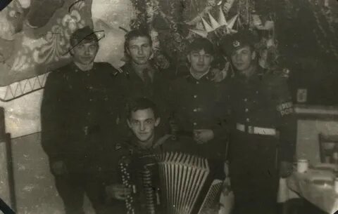 Дмб 82