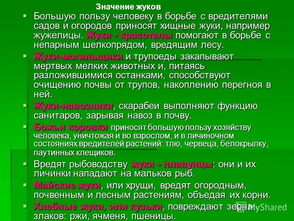Какая польза от жука
