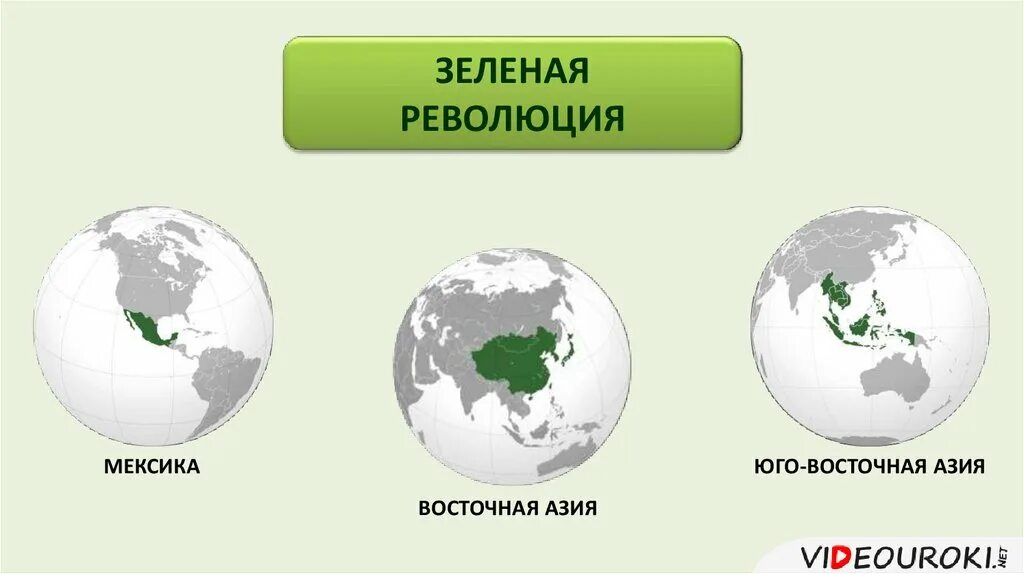 Плюсы зеленой революции