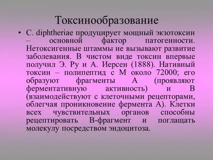 Группа патогенности туберкулеза