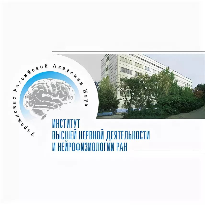 Нейрофизиология основные понятия. Нейрофизиология ран. Основы нейрофизиологии и высшей нервной деятельности. Нейрофизиология ран. Кабинет нейрофизиологии.