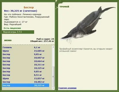 Рыбалка 3 рыбхоз