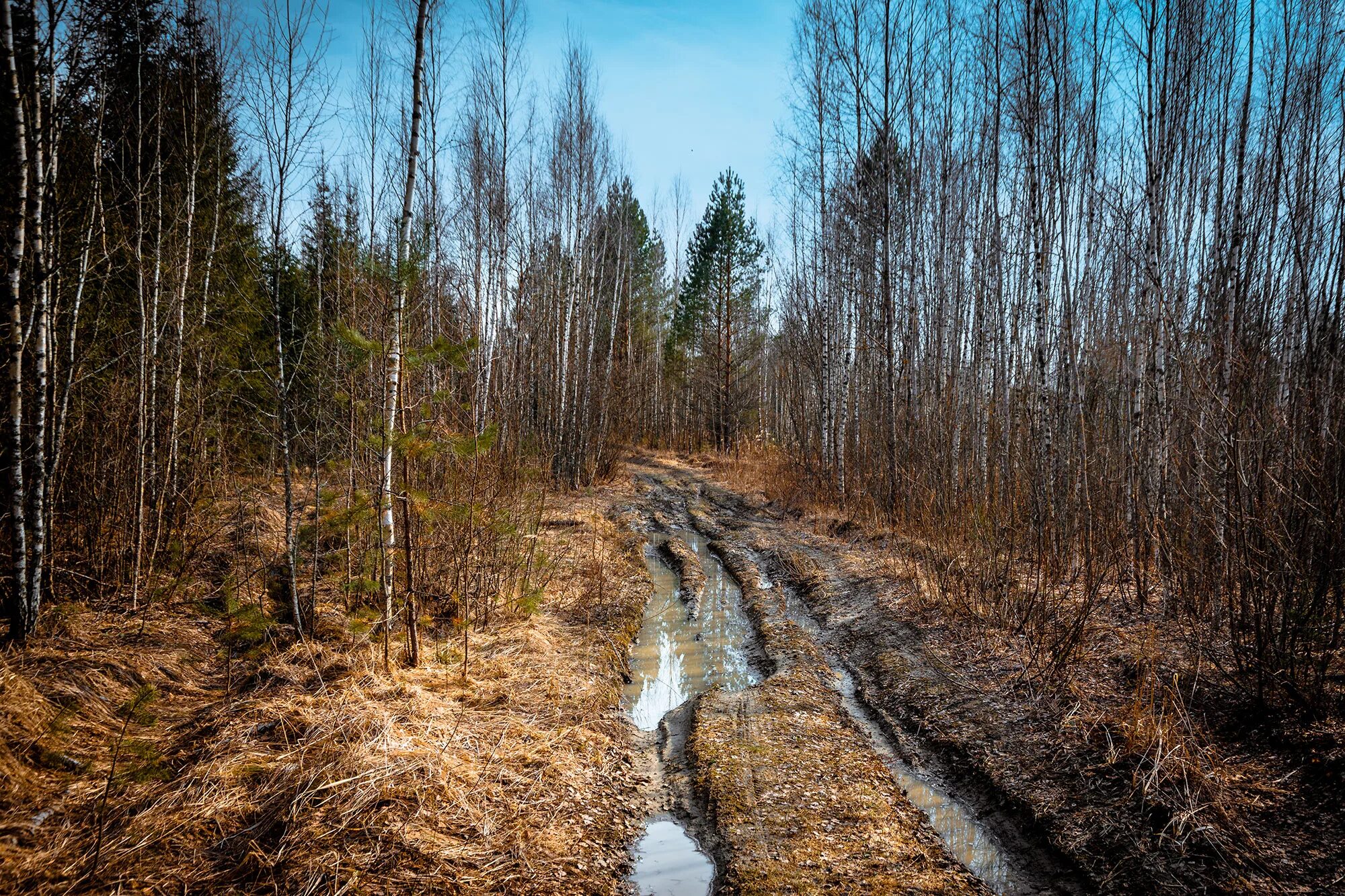 весенняя распутица дороги. весенняя распутица. весенняя распутица вологда. губаха распутица. распутица что это такое.