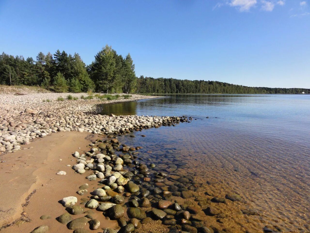 Озеро пляж фото. Пляж Видлица Ладога. Карелия берег Ладожского озера. Карелии Ладога пляж. Видлица берег Ладоги.