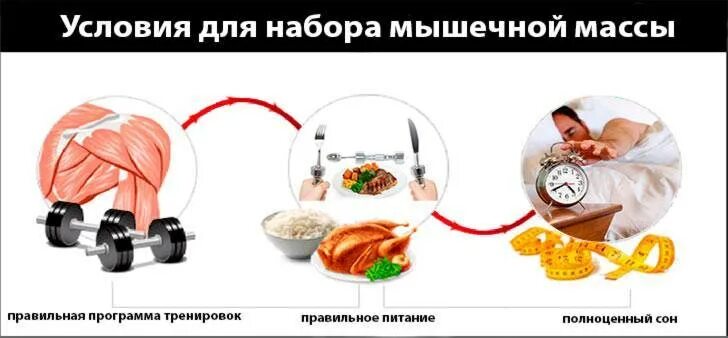 Питание чтобы набрать мышечную. Питание для набора мышечной массы. условия для набора мышечной массы. питание для набора мышечной массы для девушек. набрать вес и мышечную массу девушке.