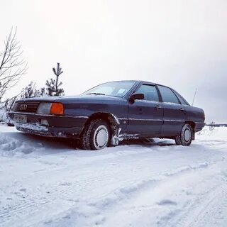 100 зим