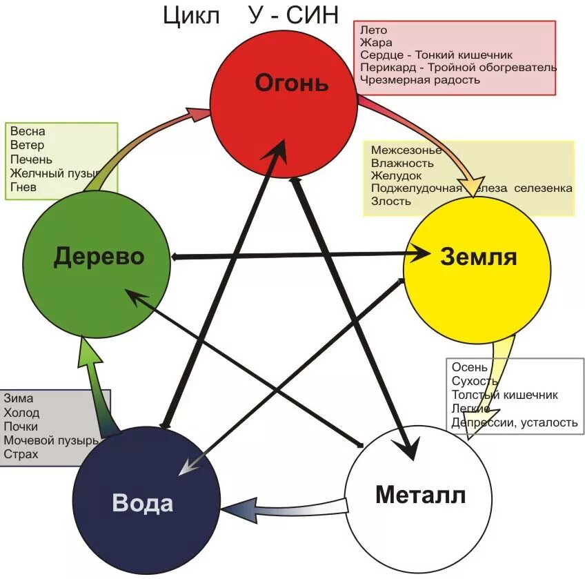 Дерево металл вода. Теория у син пяти элементов. Теория Усин 5 стихий. Круг у-син 5 элементов. Круг у син в ба Цзы.