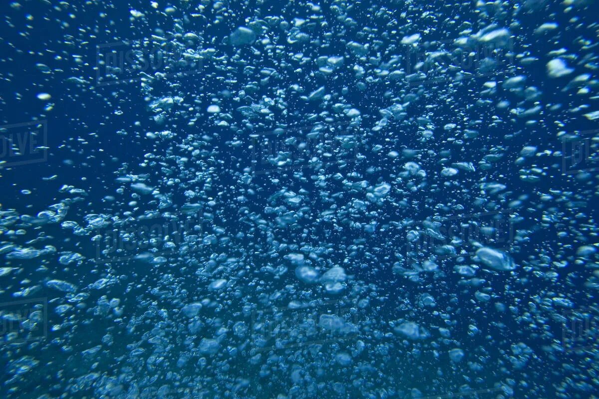 Clear through. Clear through