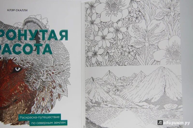 Счастье северных земель читать