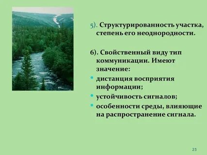 Устойчивая популяция