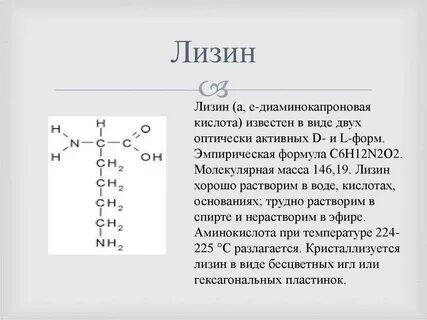 Лизин аминокислота свойства и роль в организме