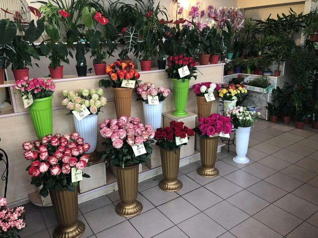 Дом цветов минск. Цветы немига минск. розы в цветочном магазине. цветочный магазин rose. миллион роз магазин цветов.