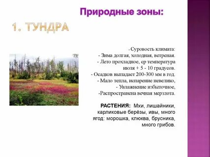 Теплая зима и продолжительное лето