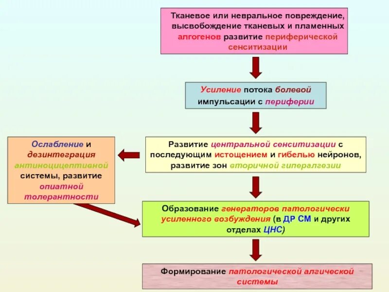 Повторяющиеся эпизоды центральной сенситизации. Центральная и периферическая сенситизация. схема периферической сенситизации. феномен центральной и периферической сенситизации. сенситизация это физиология.