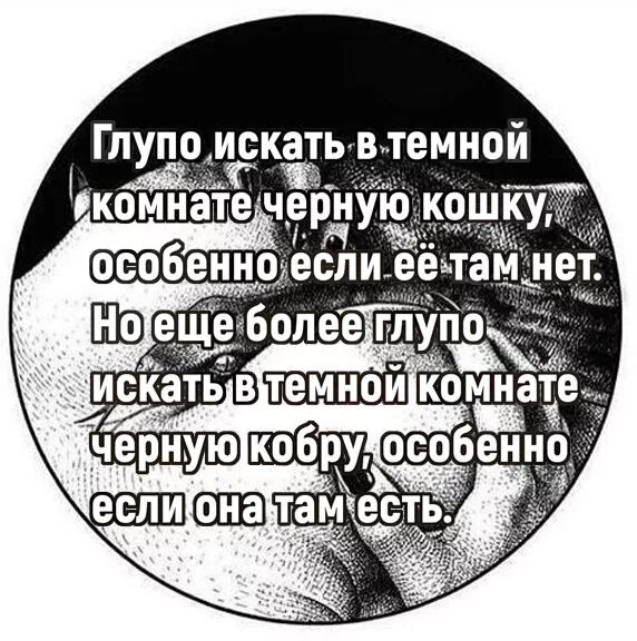 Глупый узнавать. Тяжело искать черную кошку в темной комнате особенно если. Не ищи черную кошку в темной комнате особенно если её там нет. Черную кошку в темной комнате особенно если ее там нет. Тяжело найти черную кошку в темной комнате особенно если ее там нет.