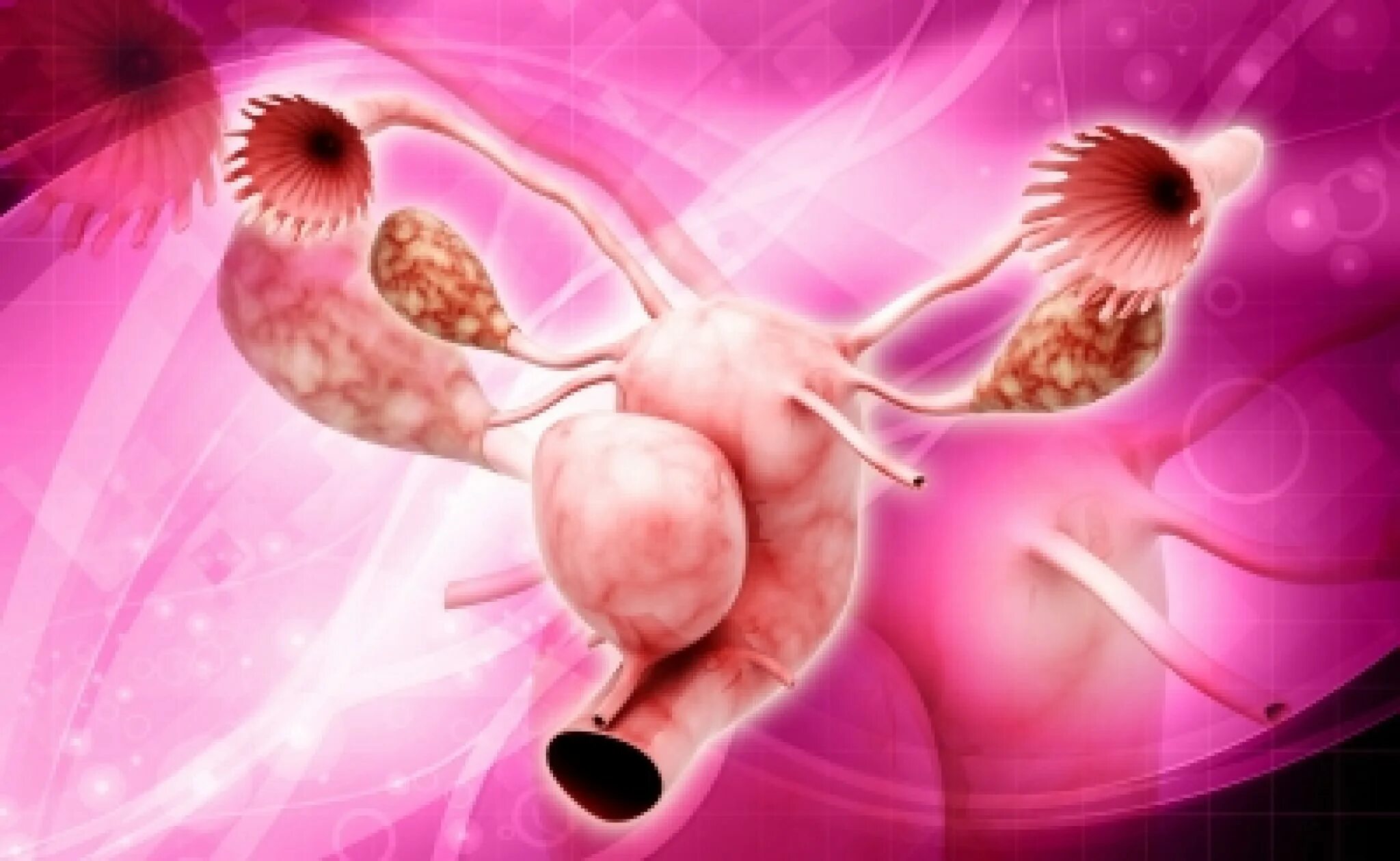Мужские половые яичники. Гинекология фон. Заболевания репродуктивной системы. Болезни женской репродуктивной системы. Фоновые заболевания яичников.