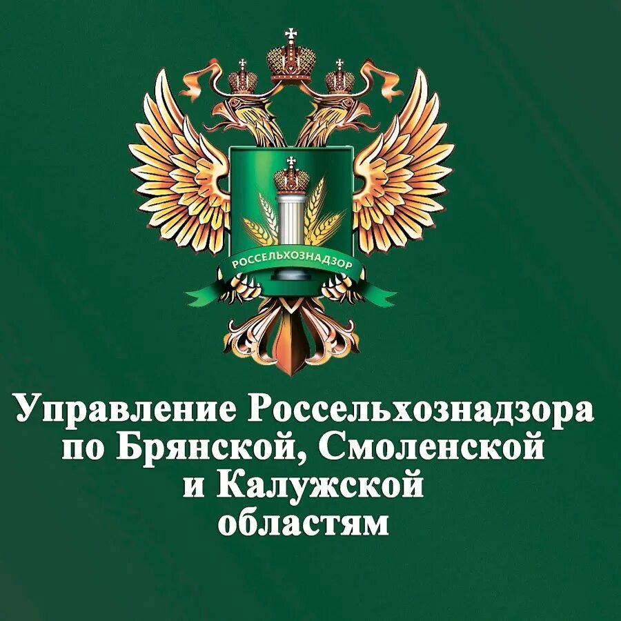 Россельхознадзор по Брянской Смоленской и Калужской областям. Управление Россельхознадзора. Управление Россельхознадзора по Брянской. Россельхознадзор по Смоленской области. Калужский россельхознадзор сайт