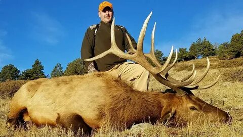 Hunt photo