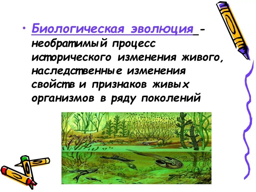 Биологическая Эволюция. Биологическая Эволюция это процесс. Понятие биологической эволюции. Эволюция необратимый процесс исторического изменения живого.