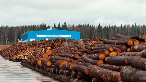 Почему лесная промышленность расположена на крупных реках